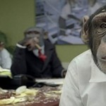 A CareerBuilder ad featuring a monkey. (Image via LAist)