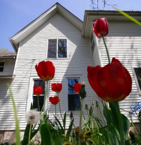 A foreclosed home in Elgin for sale. (Scott Olsen/Getty Images)